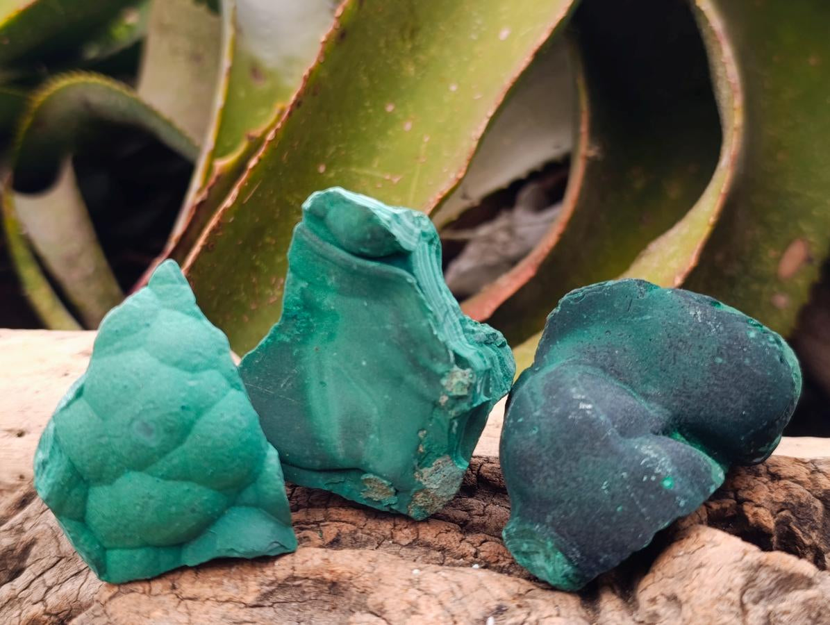 Natural Botryoidal Malachite Specimens x 12 From Congo - Toprock Gemstones and Minerals 