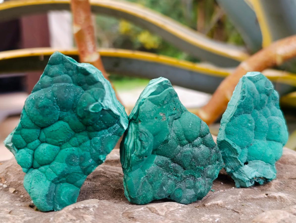 Natural Botryoidal Malachite Specimens x 12 From Congo - Toprock Gemstones and Minerals 
