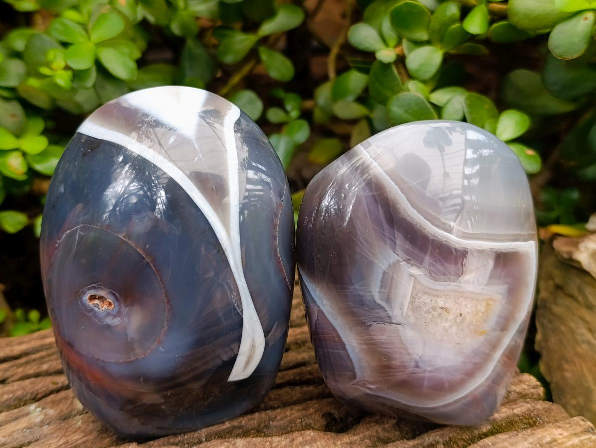 Polished Red Shashe River Agate Standing Display Pieces x 3 From Shashe River, Zimbabwe - Toprock Gemstones and Minerals 