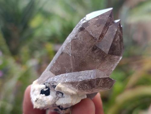 Natural Smokey Quartz Specimens with Orthoclase Crystals and Clusters  x 29 From Zomba Platea