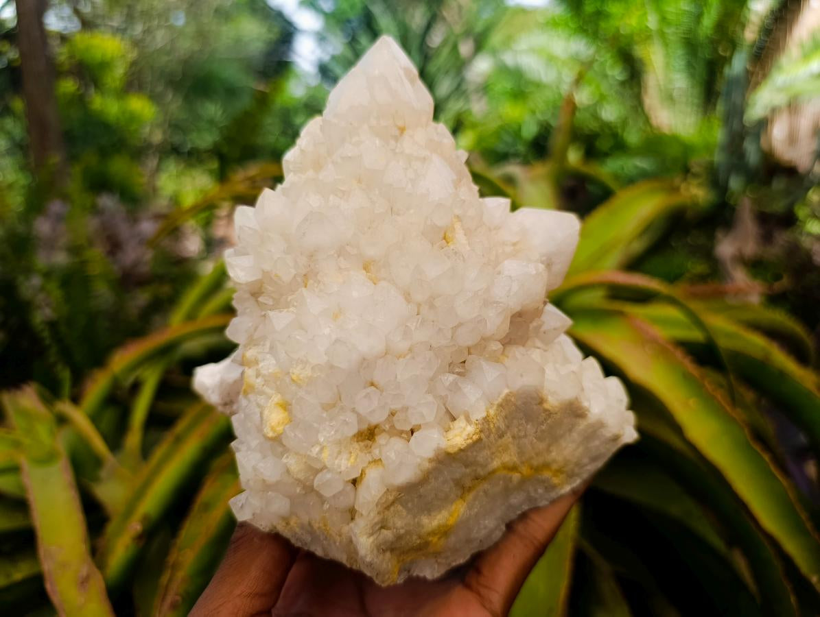 Natural "Love Star" Cascading Candle Quartz Clusters x 2 From Antsirabe, Madagascar