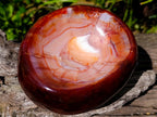 Polished Carnelian Agate Gemstone Bowls x 2 From Madagascar - Toprock Gemstones and Minerals 