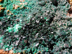 Natural Crystalline Malachite Specimens x 6 From Tenke Fungurume, Congo - Toprock Gemstones and Minerals 