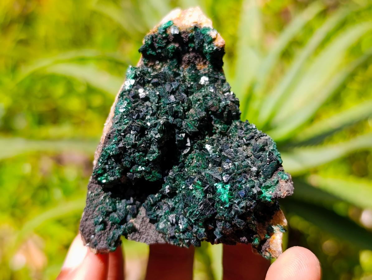 Natural Crystalline Malachite Specimens x 6 From Tenke Fungurume, Congo - Toprock Gemstones and Minerals 