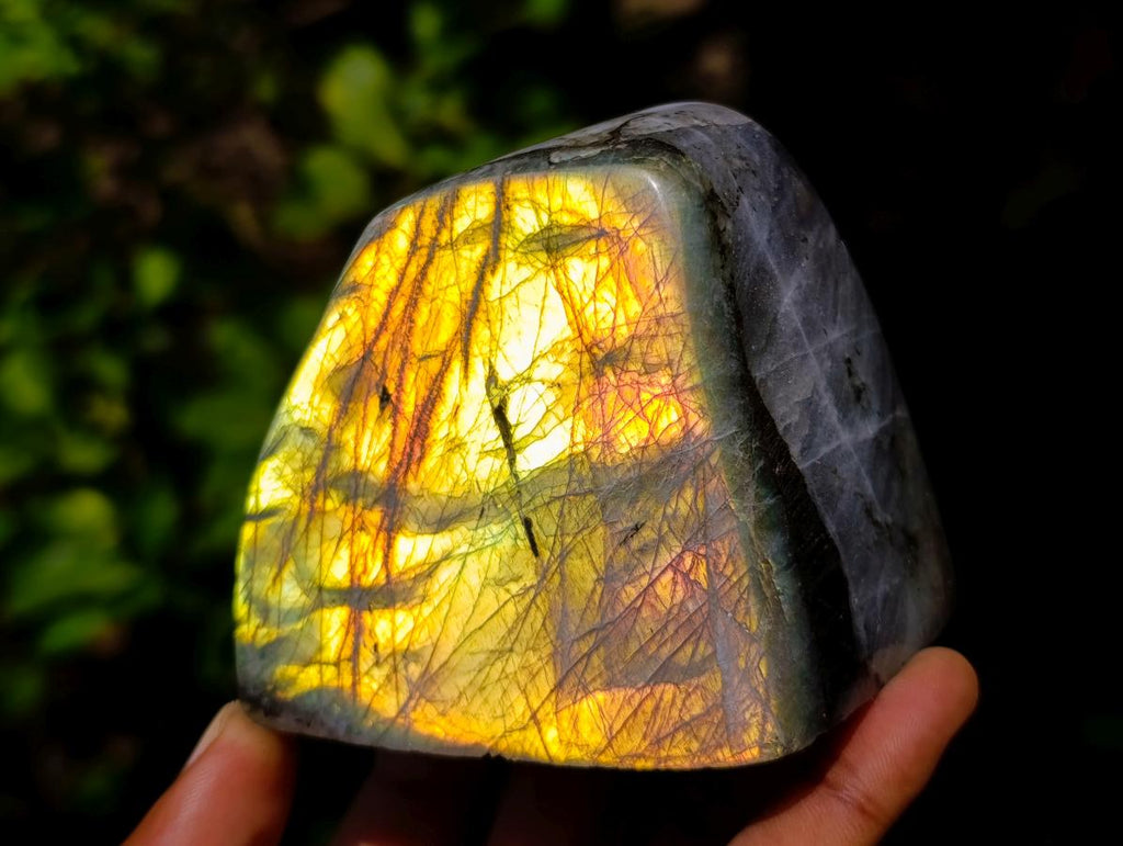 Polished Rare Purple Sunset Flash Labradorite Standing Free Forms x 3 From Madagascar - Toprock Gemstones and Minerals 