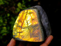 Polished Rare Purple Sunset Flash Labradorite Standing Free Forms x 3 From Madagascar - Toprock Gemstones and Minerals 