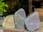 Polished Rare Purple Sunset Flash Labradorite Standing Free Forms x 3 From Madagascar - Toprock Gemstones and Minerals 