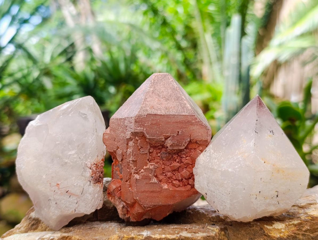 Natural Smokey Hematoid Phantom Quartz Crystals and Clusters x 12 From Madagascar - Toprock Gemstones and Minerals 