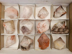 Natural Smokey Hematoid Phantom Quartz Crystals and Clusters x 12 From Madagascar - Toprock Gemstones and Minerals 
