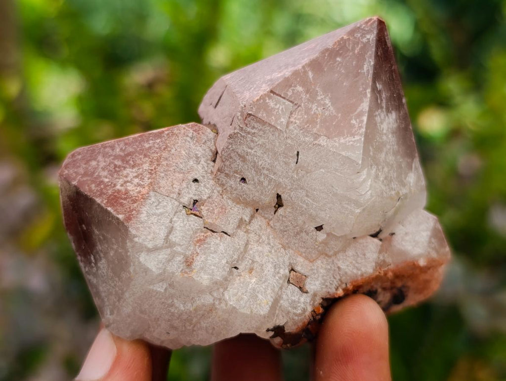 Natural Smokey Hematoid Phantom Quartz Crystals and Clusters x 12 From Madagascar - Toprock Gemstones and Minerals 