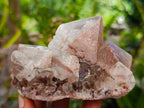 Natural Smokey Hematoid Phantom Quartz Crystals and Clusters x 12 From Madagascar - Toprock Gemstones and Minerals 