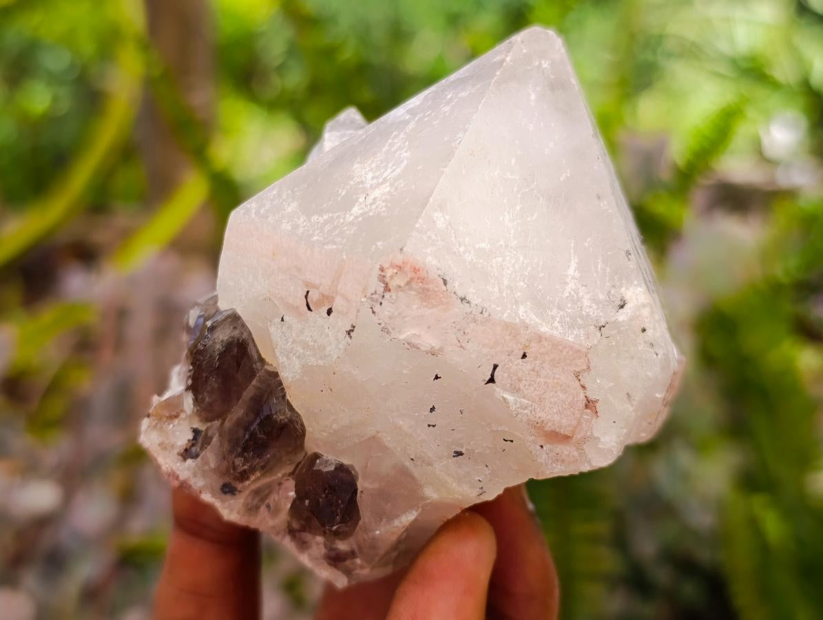 Natural Smokey Hematoid Phantom Quartz Crystals and Clusters x 12 From Madagascar - Toprock Gemstones and Minerals 
