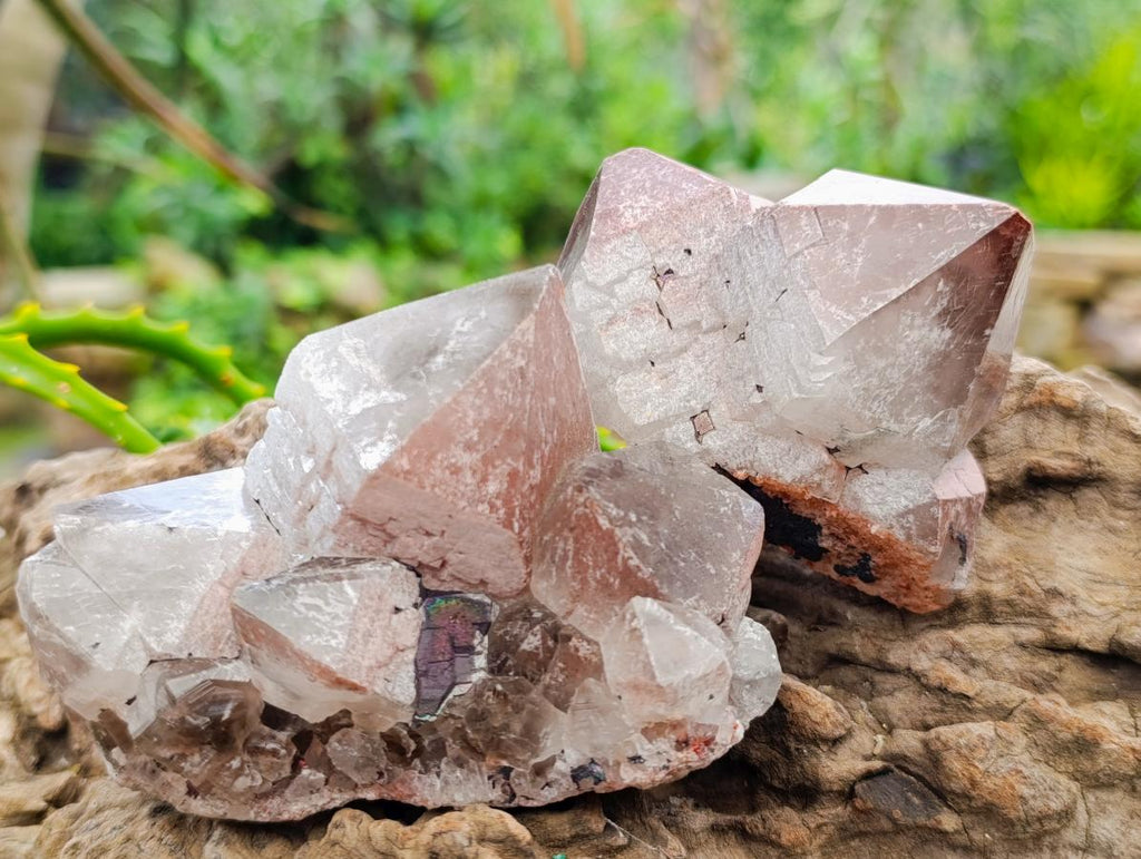Natural Smokey Hematoid Phantom Quartz Crystals and Clusters x 12 From Madagascar - Toprock Gemstones and Minerals 