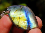 Polished Labradorite Pendants x 35 From Madagascar - Toprock Gemstones and Minerals 
