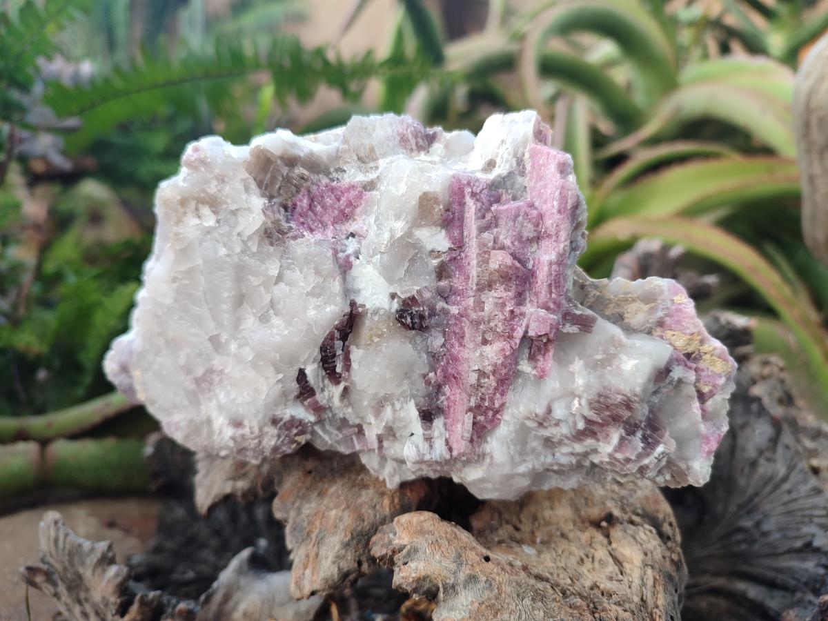 Natural Pink Rubellite Tourmaline Specimens x 2 From Karibib, Namibia - Toprock Gemstones and Minerals 