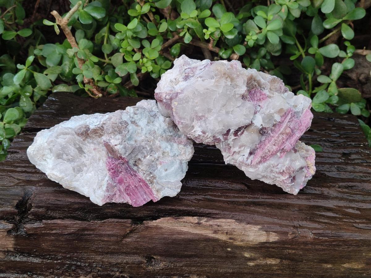 Natural Pink Rubellite Tourmaline Specimens x 2 From Karibib, Namibia - Toprock Gemstones and Minerals 
