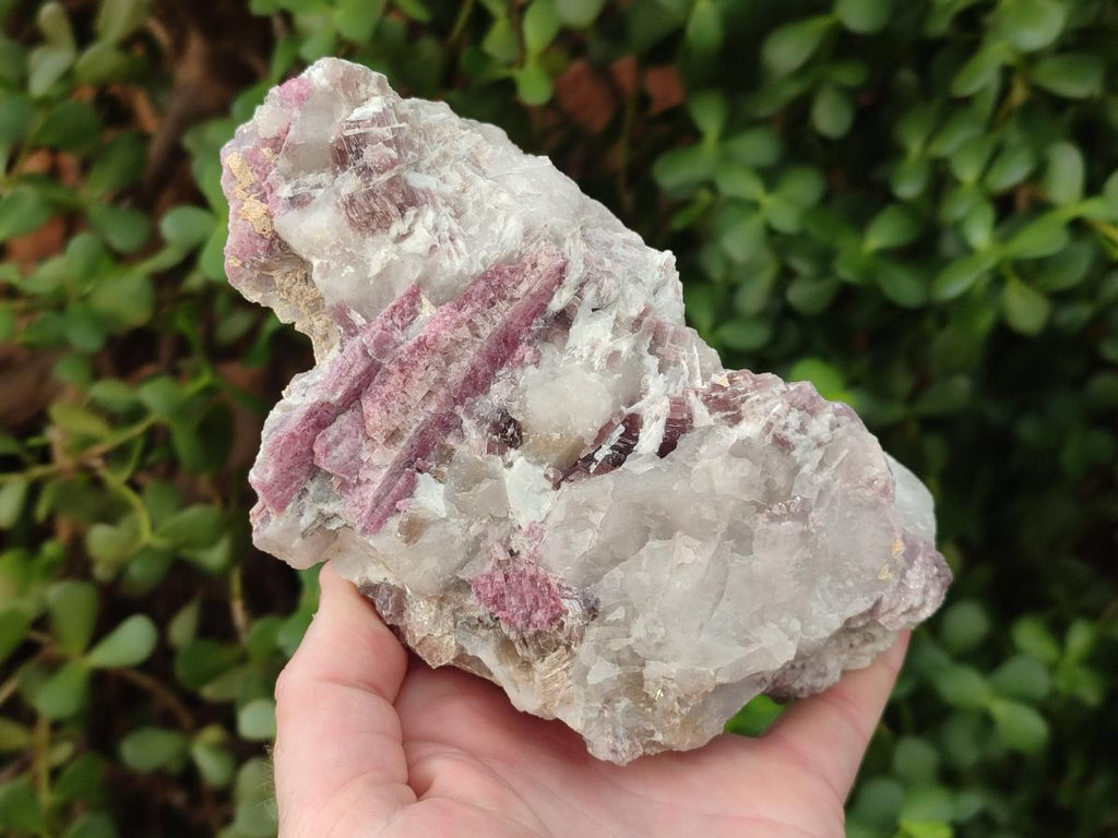 Natural Pink Rubellite Tourmaline Specimens x 2 From Karibib, Namibia - Toprock Gemstones and Minerals 