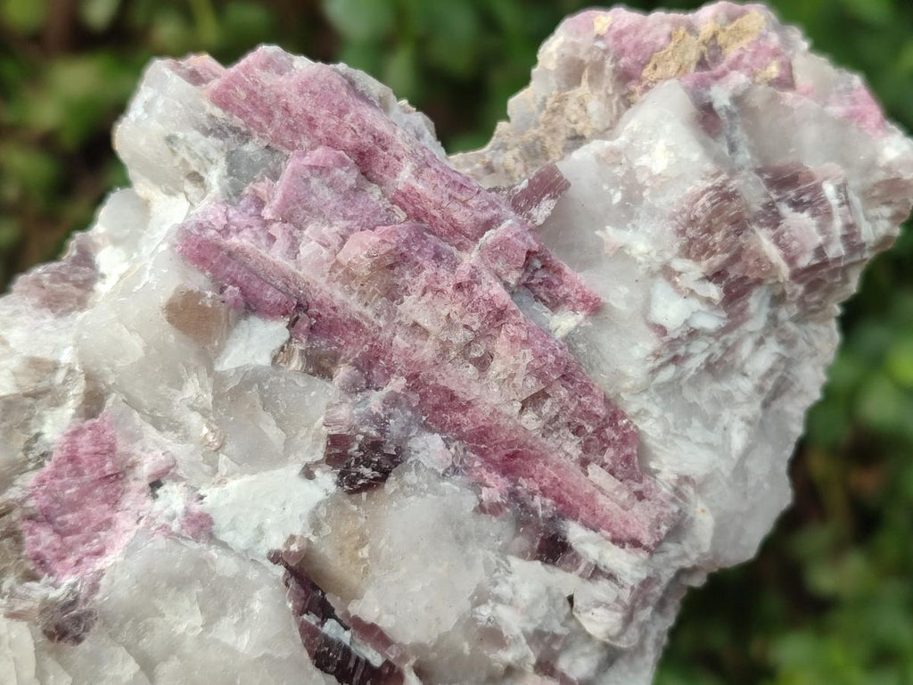 Natural Pink Rubellite Tourmaline Specimens x 2 From Karibib, Namibia - Toprock Gemstones and Minerals 