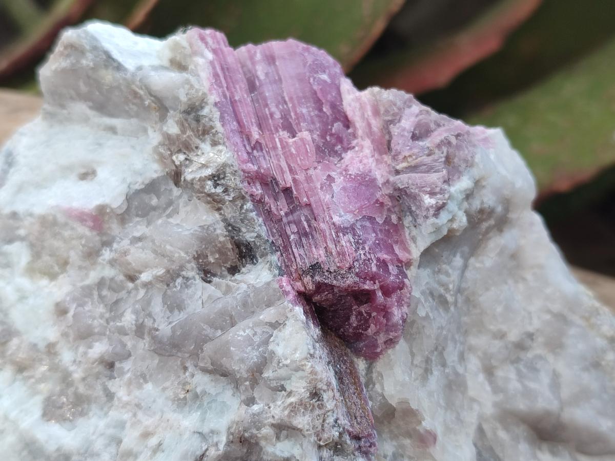 Natural Pink Rubellite Tourmaline Specimens x 2 From Karibib, Namibia - Toprock Gemstones and Minerals 