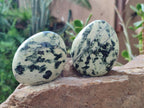 Polished Leopard Stone Free Forms x 9 From Zimbabwe - Toprock Gemstones and Minerals 
