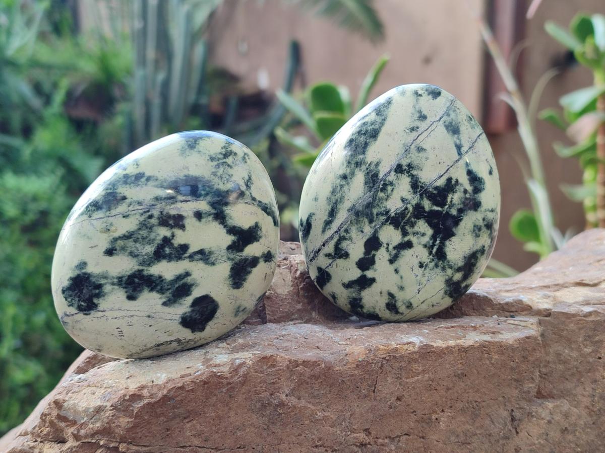Polished Leopard Stone Free Forms x 9 From Zimbabwe - Toprock Gemstones and Minerals 