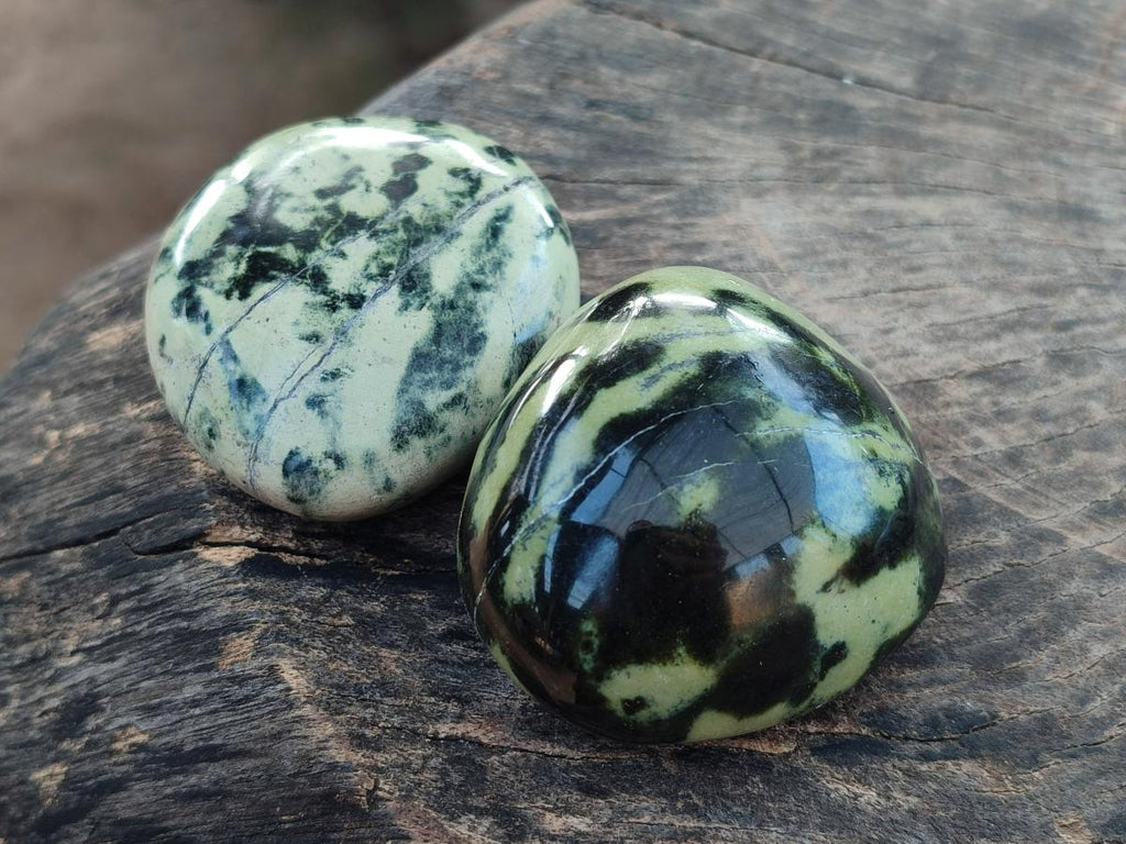 Polished Leopard Stone Free Forms x 9 From Zimbabwe - Toprock Gemstones and Minerals 
