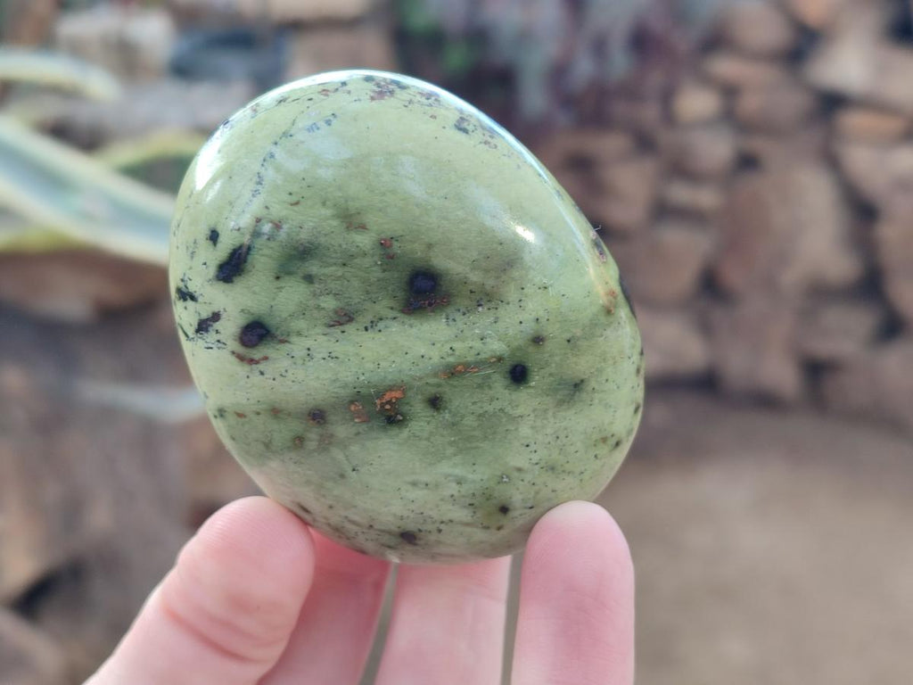 Polished Leopard Stone Free Forms x 9 From Zimbabwe - Toprock Gemstones and Minerals 