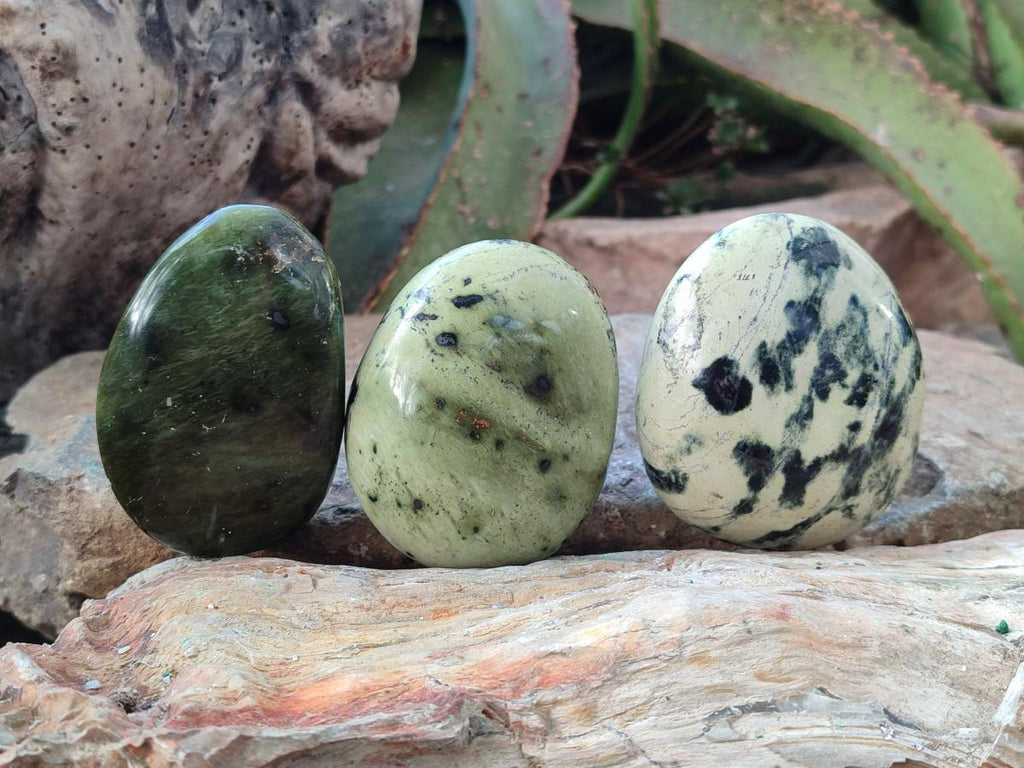 Polished Leopard Stone Free Forms x 9 From Zimbabwe - Toprock Gemstones and Minerals 