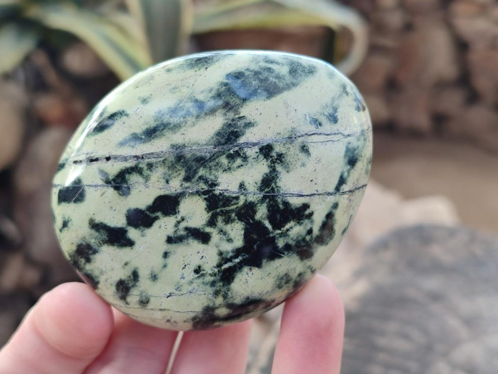 Polished Leopard Stone Free Forms x 9 From Zimbabwe - Toprock Gemstones and Minerals 