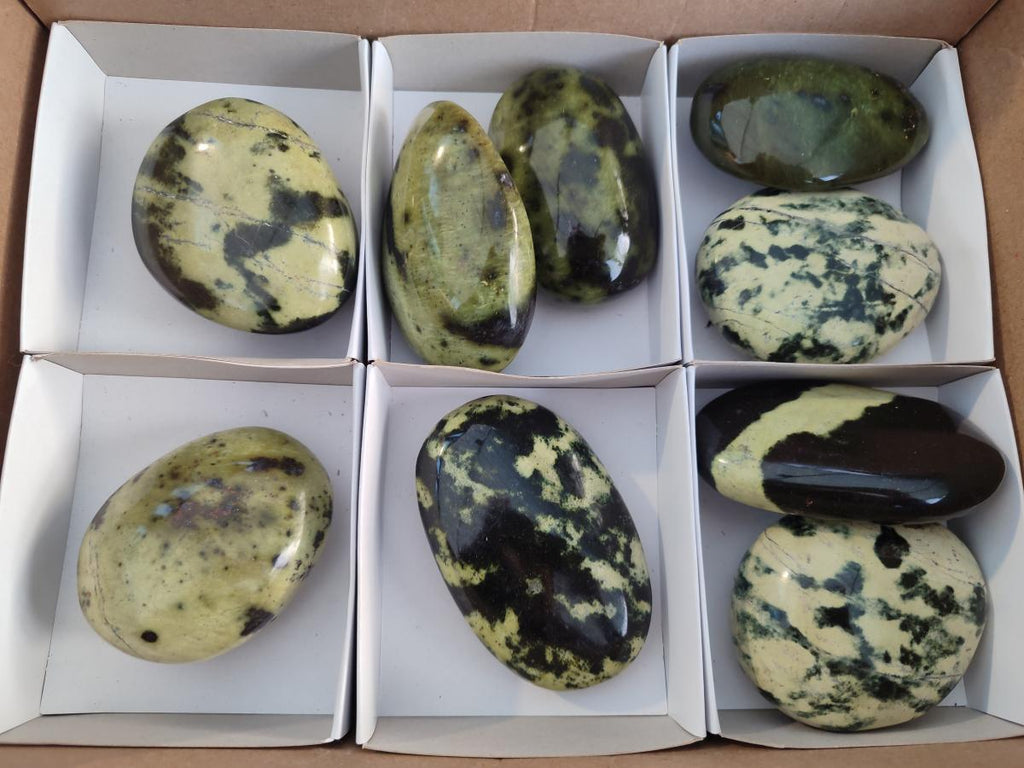 Polished Leopard Stone Free Forms x 9 From Zimbabwe - Toprock Gemstones and Minerals 