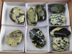 Polished Leopard Stone Free Forms x 9 From Zimbabwe - Toprock Gemstones and Minerals 