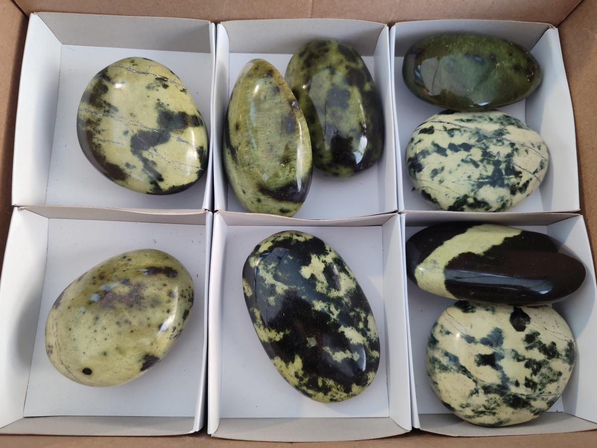 Polished Leopard Stone Free Forms x 9 From Zimbabwe - Toprock Gemstones and Minerals 