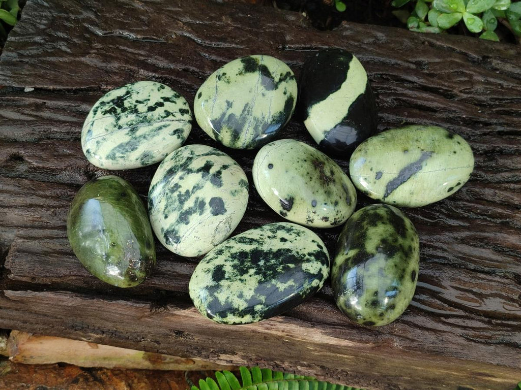 Polished Leopard Stone Free Forms x 9 From Zimbabwe - Toprock Gemstones and Minerals 