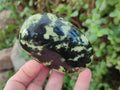Polished Leopard Stone Free Forms x 9 From Zimbabwe - Toprock Gemstones and Minerals 