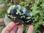 Polished Leopard Stone Free Forms x 9 From Zimbabwe - Toprock Gemstones and Minerals 