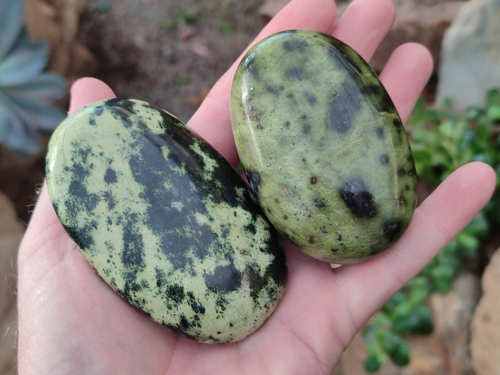 Polished Leopard Stone Free Forms x 9 From Zimbabwe - Toprock Gemstones and Minerals 