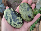 Polished Leopard Stone Free Forms x 9 From Zimbabwe - Toprock Gemstones and Minerals 