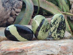 Polished Leopard Stone Free Forms x 9 From Zimbabwe - Toprock Gemstones and Minerals 