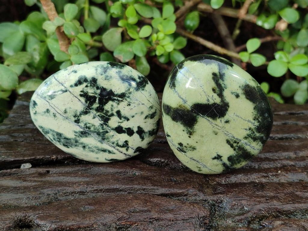 Polished Leopard Stone Free Forms x 9 From Zimbabwe - Toprock Gemstones and Minerals 