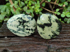 Polished Leopard Stone Free Forms x 9 From Zimbabwe - Toprock Gemstones and Minerals 