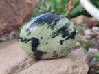 Polished Leopard Stone Free Forms x 9 From Zimbabwe - Toprock Gemstones and Minerals 