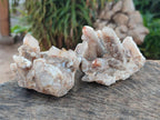 Natural Limonite Fairy Spirit Quartz Clusters with Inclusions  x 4 From Boekenhouthoek, South Africa - Toprock Gemstones and Minerals 