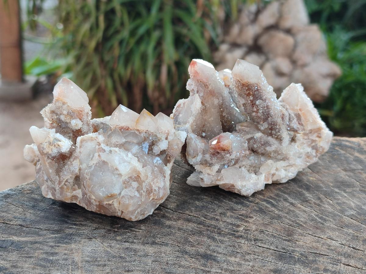 Natural Limonite Fairy Spirit Quartz Clusters with Inclusions  x 4 From Boekenhouthoek, South Africa - Toprock Gemstones and Minerals 