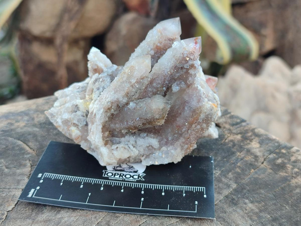 Natural Limonite Fairy Spirit Quartz Clusters with Inclusions  x 4 From Boekenhouthoek, South Africa - Toprock Gemstones and Minerals 