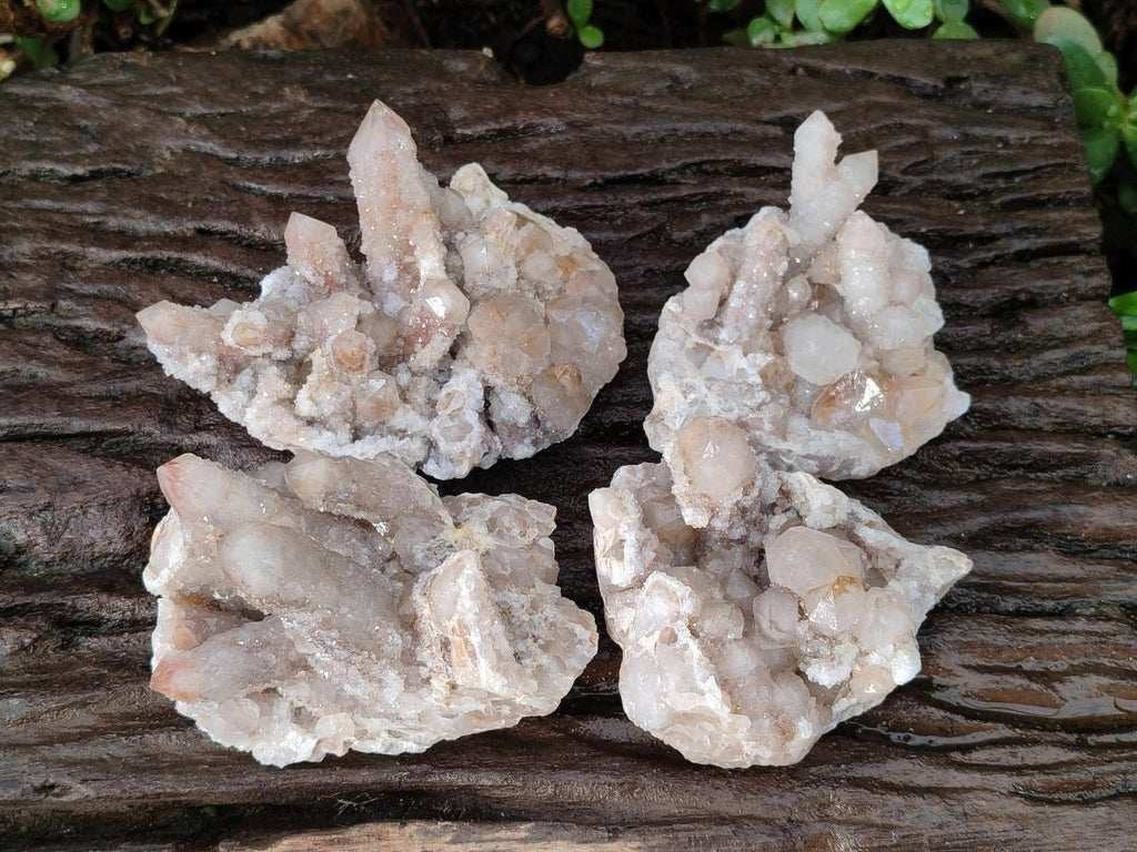 Natural Limonite Fairy Spirit Quartz Clusters with Inclusions  x 4 From Boekenhouthoek, South Africa - Toprock Gemstones and Minerals 