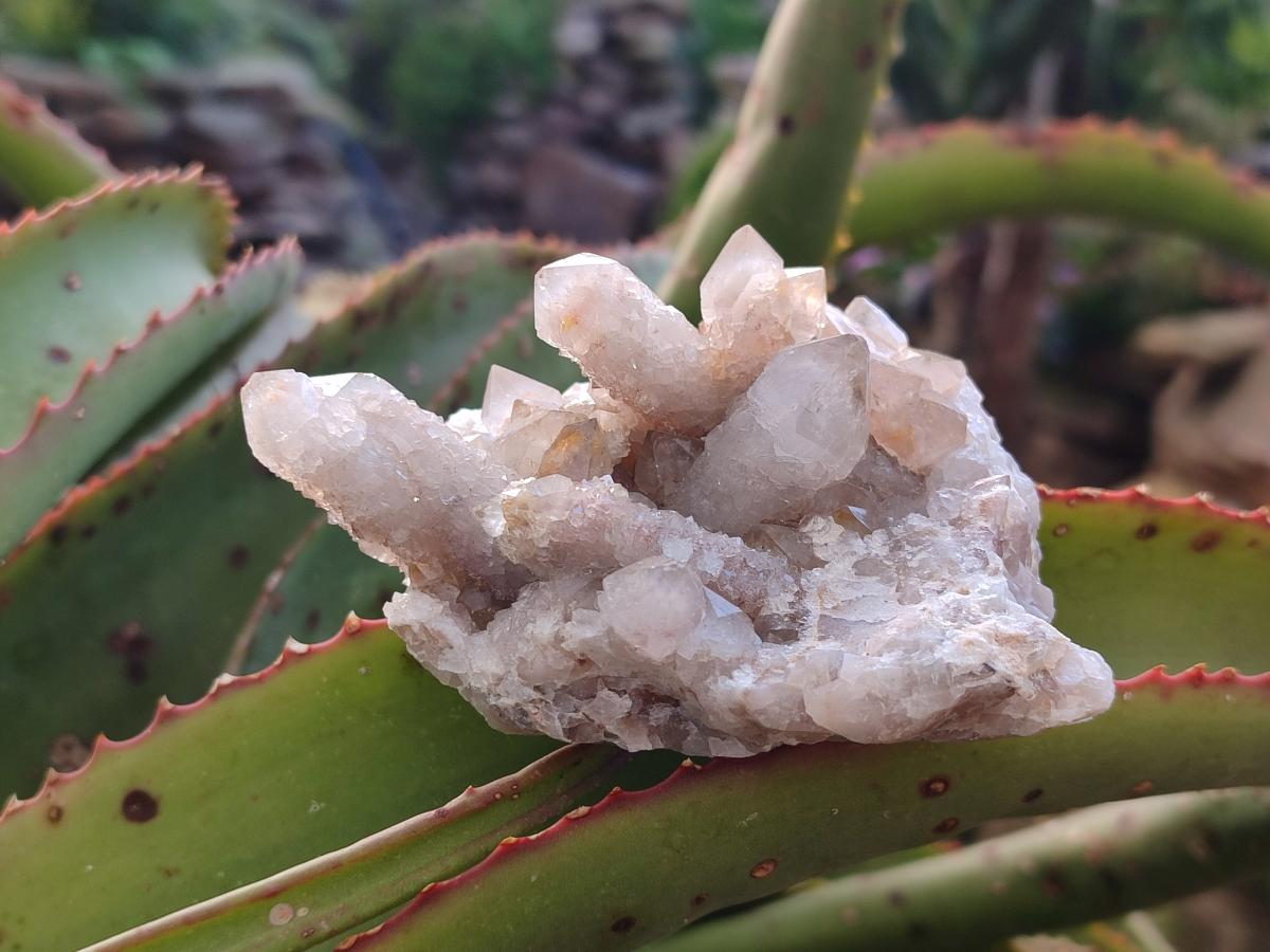 Natural Limonite Fairy Spirit Quartz Clusters with Inclusions  x 4 From Boekenhouthoek, South Africa - Toprock Gemstones and Minerals 