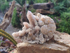 Natural Limonite Fairy Spirit Quartz Clusters with Inclusions  x 4 From Boekenhouthoek, South Africa - Toprock Gemstones and Minerals 