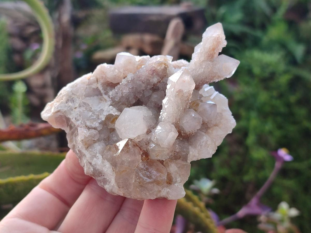 Natural Limonite Fairy Spirit Quartz Clusters with Inclusions  x 4 From Boekenhouthoek, South Africa - Toprock Gemstones and Minerals 