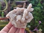 Natural Limonite Fairy Spirit Quartz Clusters with Inclusions  x 4 From Boekenhouthoek, South Africa - Toprock Gemstones and Minerals 