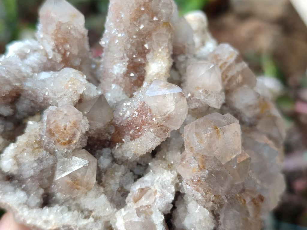 Natural Limonite Fairy Spirit Quartz Clusters with Inclusions  x 4 From Boekenhouthoek, South Africa - Toprock Gemstones and Minerals 